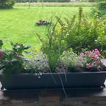 With Sauna In Sourbrodt *