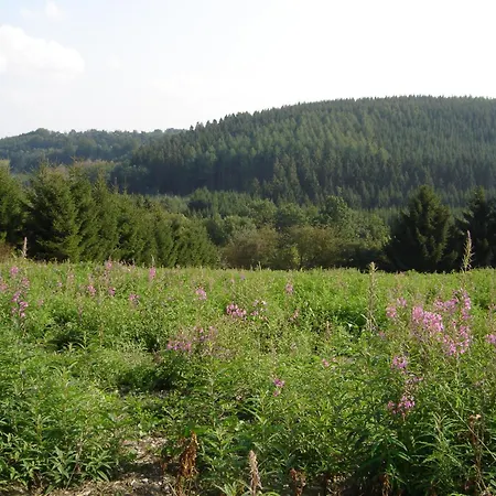 With Sauna In Sourbrodt * וואימס