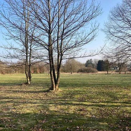 With Sauna In Sourbrodt Waimes