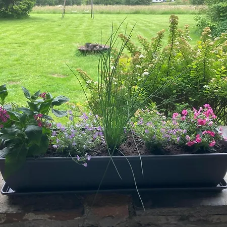 With Sauna In Sourbrodt *