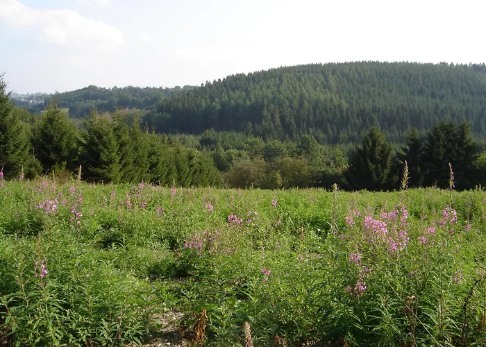 With Sauna In Sourbrodt * Waimes