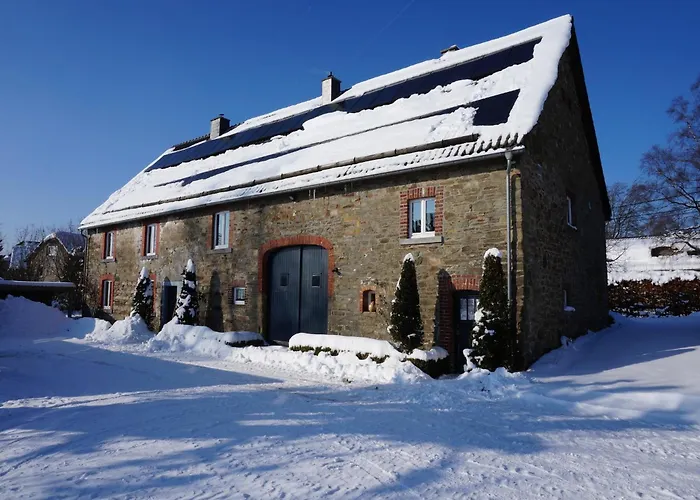 Holiday home With Sauna In Sourbrodt