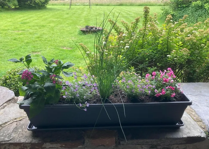 With Sauna In Sourbrodt *